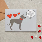 Lurcher Valentine's Day card — illustrated dog lover greeting card by Sweet William Designs