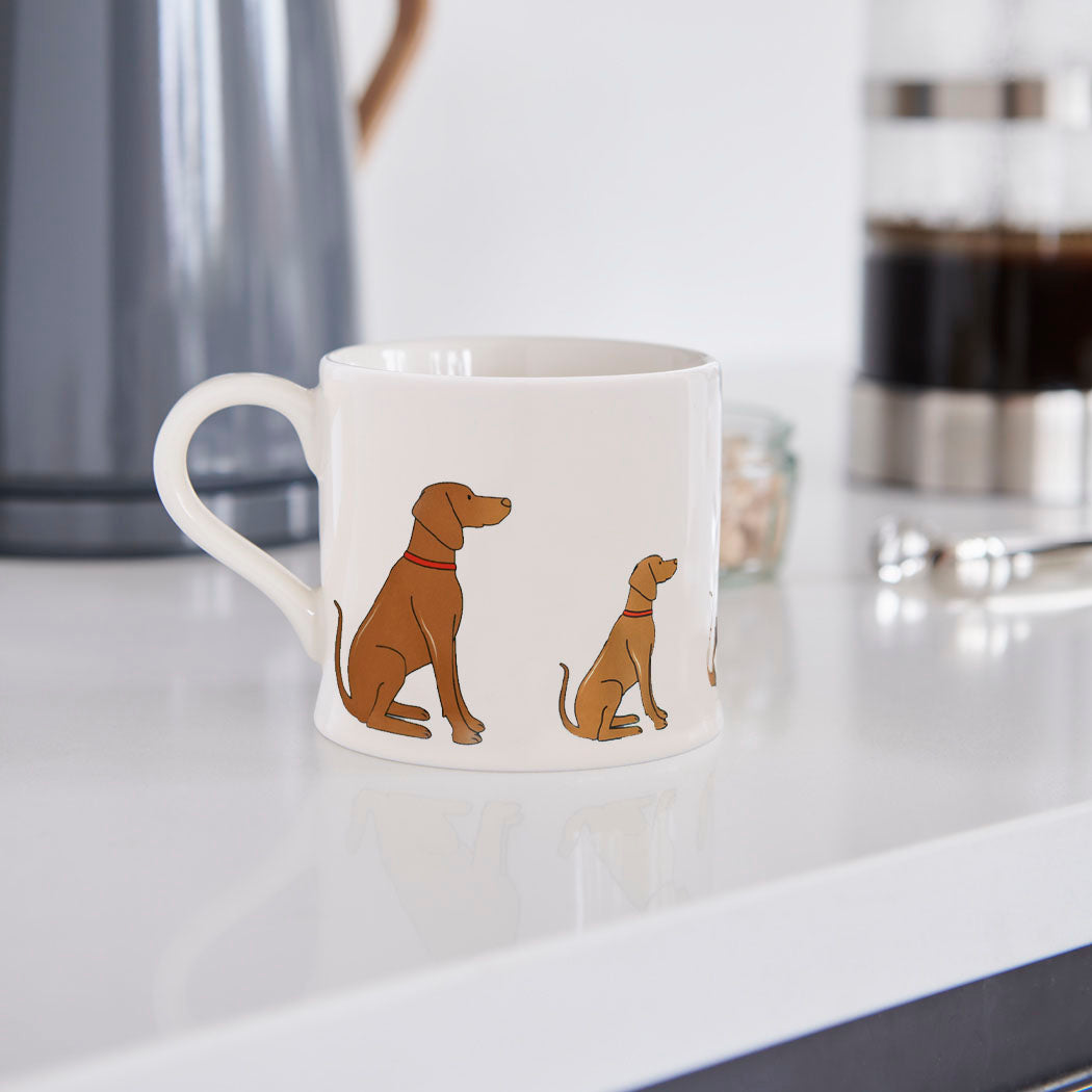 Vizsla mug in a kitchen setting — ceramic boxed mug, perfect Vizsla owner gift