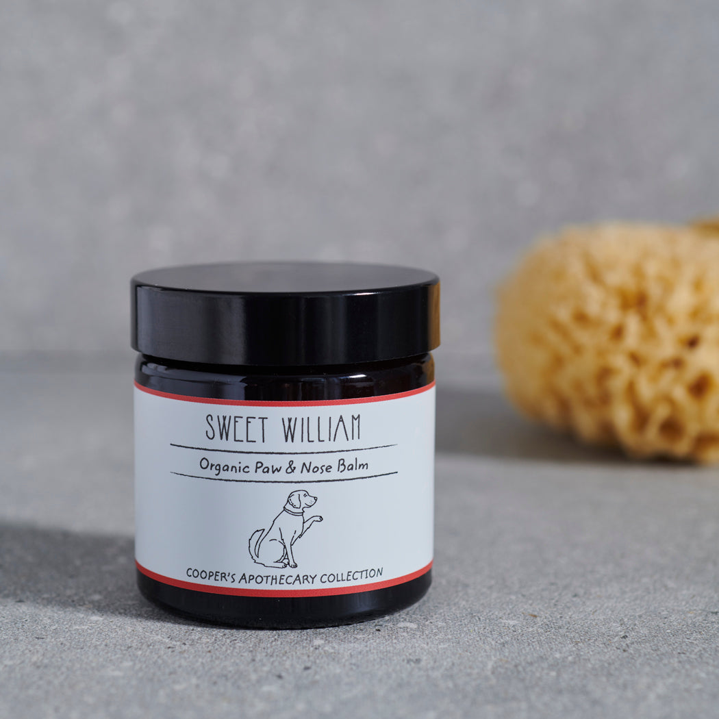 Sweet William Organic Dog Paw & Nose Balm jar from Cooper’s Apothecary Collection with a natural sponge