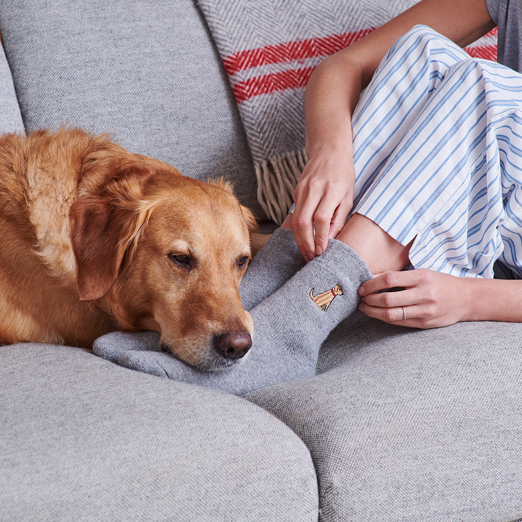 Fox Red Labrador dog walking socks lifestyle shot — embroidered wool blend, dog lover gift by Sweet William Designs