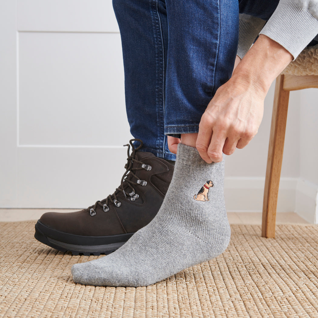 Man wearing Border Terrier dog walking socks – wool embroidered design