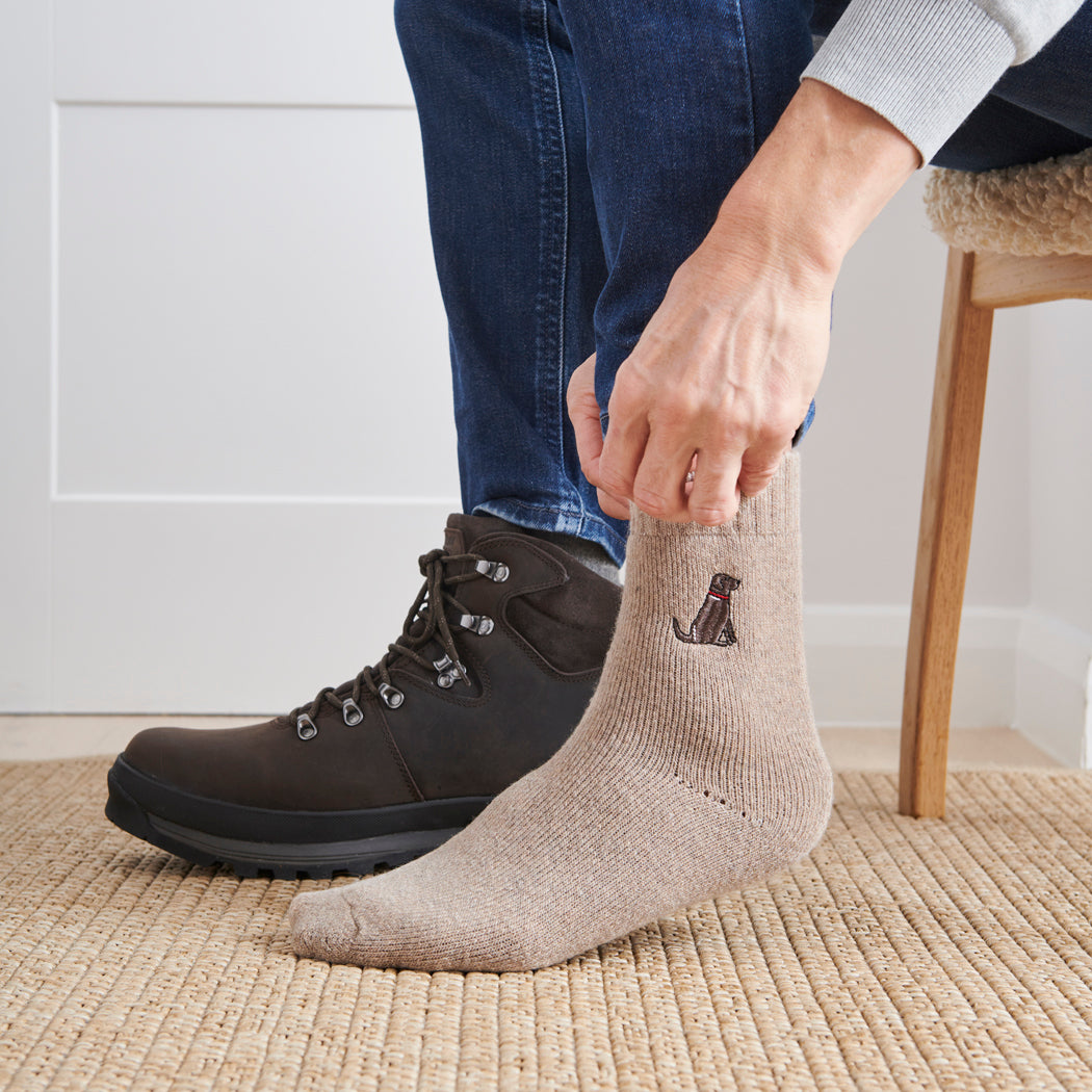  Man wearing Chocolate Labrador dog walking socks – wool embroidered design