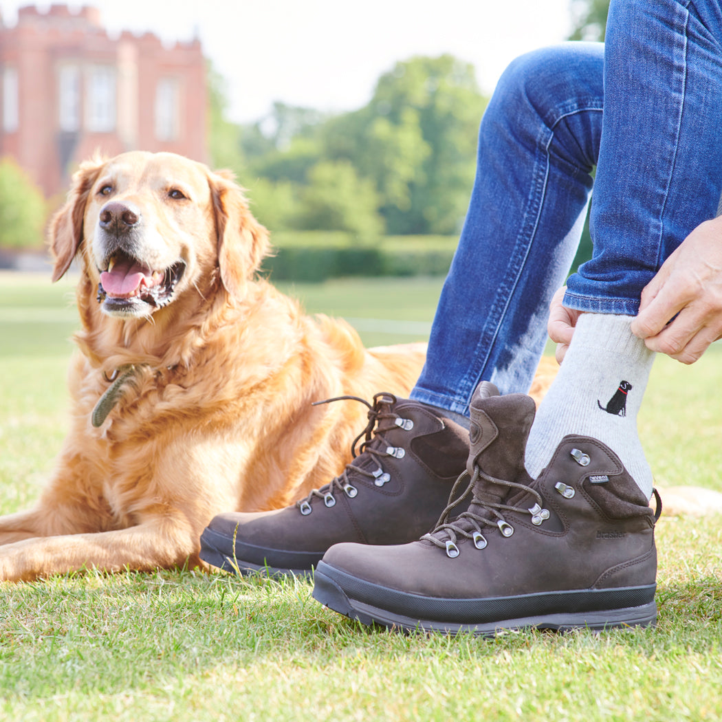 Golden Retriever dog smiling outdoors wearing matching embroidered dog walking socks
