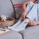 Relaxing in Liver Springer Spaniel dog walking socks — cosy wool blend socks, ideal gift for Springer Spaniel owners