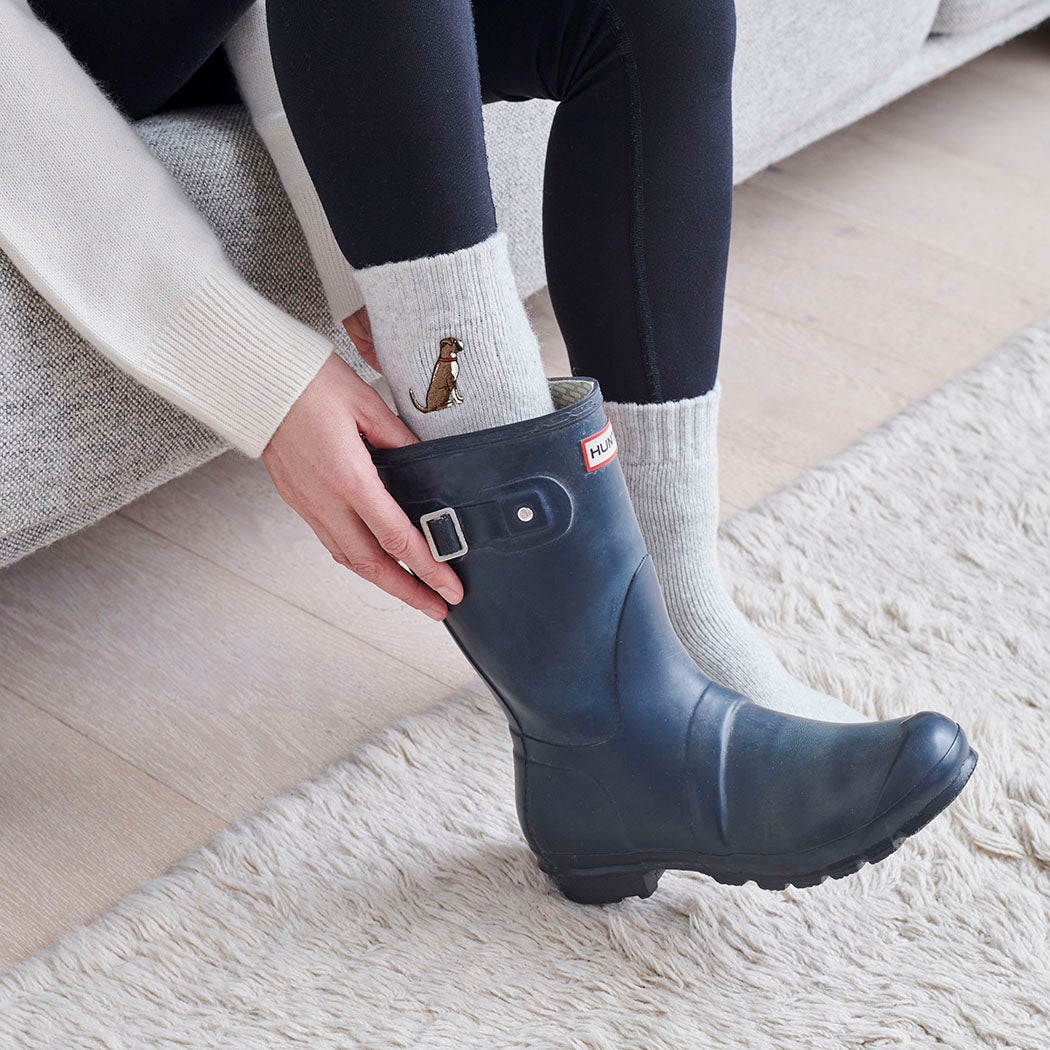  Boxer dog walking socks worn with wellies 