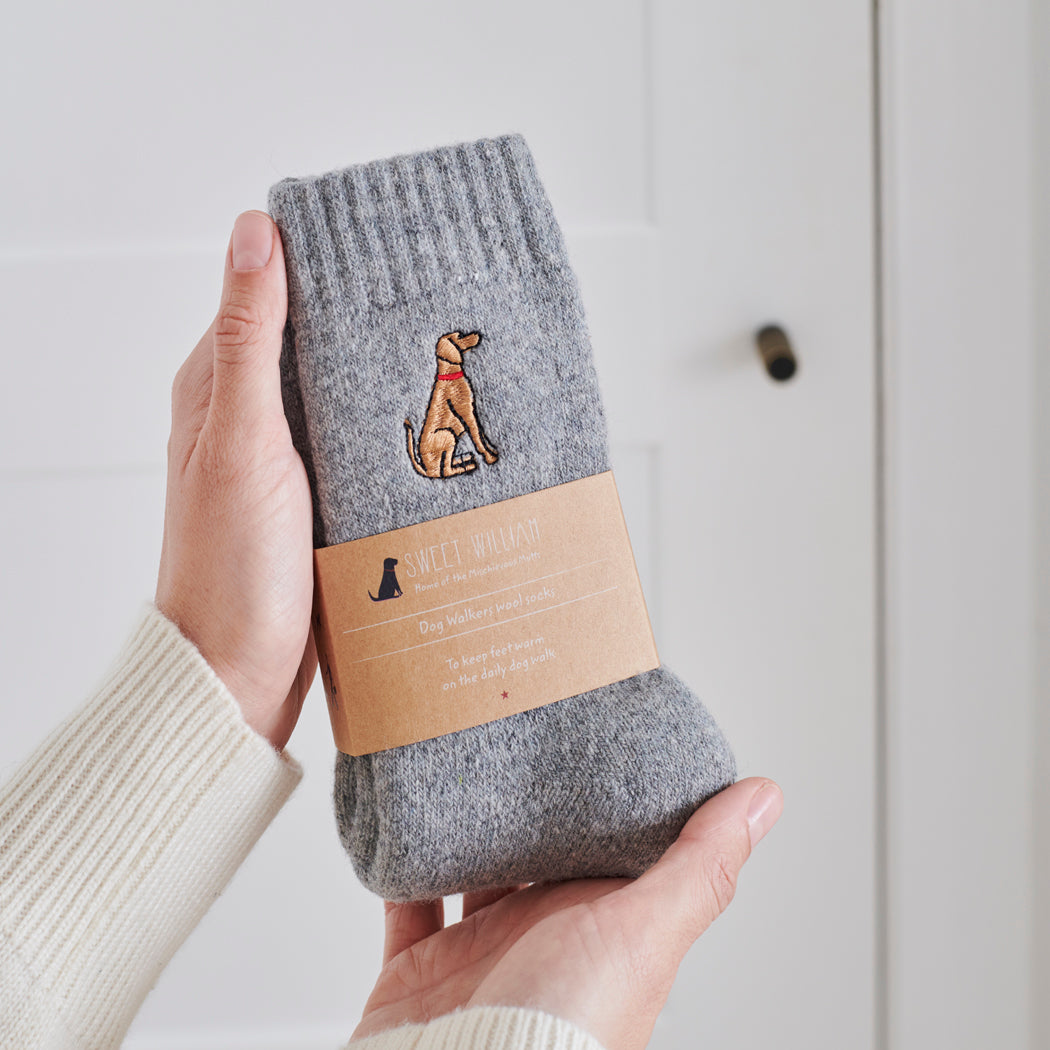 Vizsla embroidered socks held in hand — soft wool blend dog lover gift by Sweet William Designs