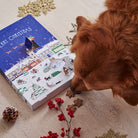 Christmas Dog Treat Advent Calendar pictured with Cooper the Golden Retriever, in a festive home setting, by Sweet William Designs