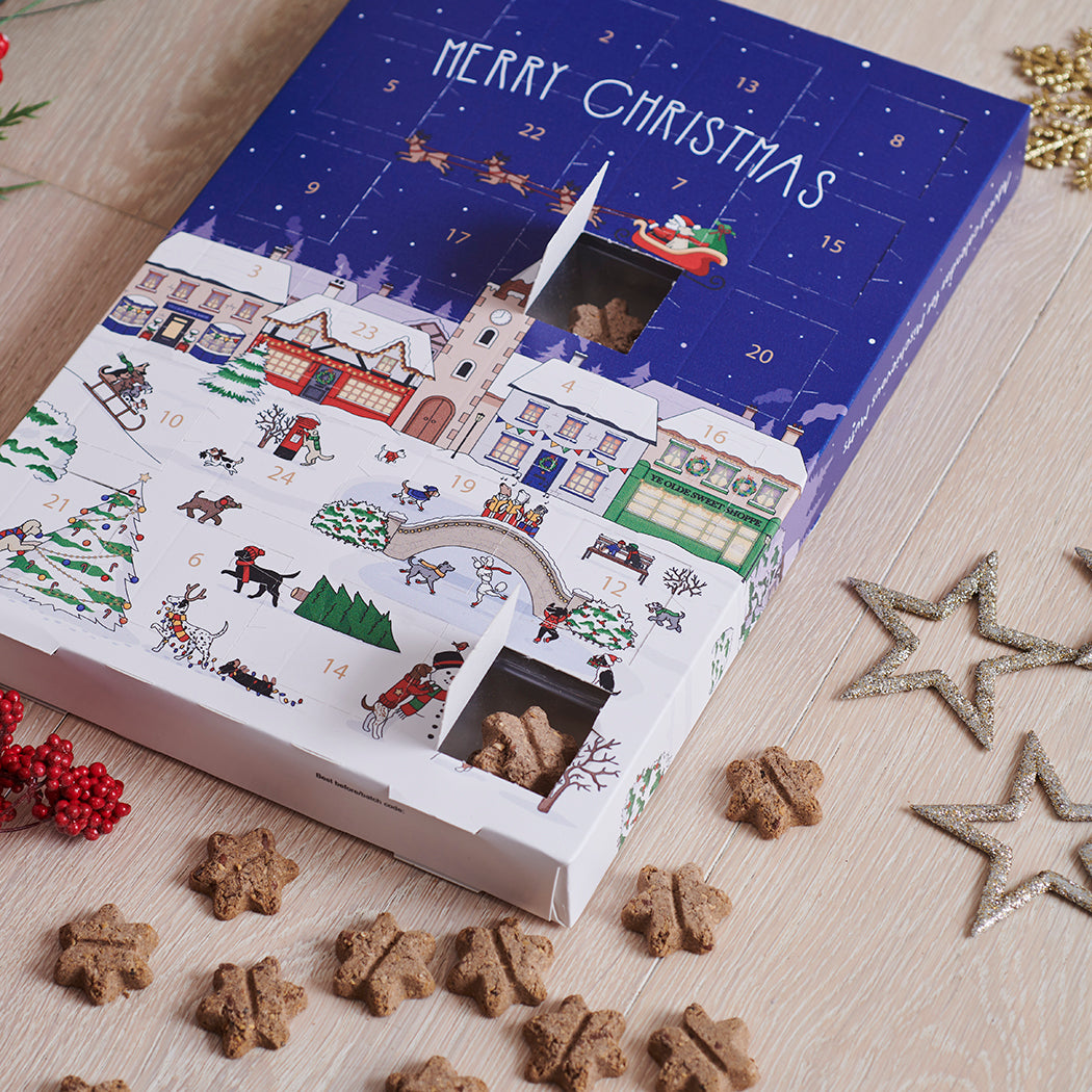 Christmas Dog Treat Advent Calendar pictured alongside natural star-shaped dog treats used for the daily countdown, by Sweet William Designs