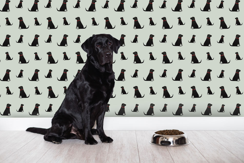 Black Labrador sitting in front of matching Sweet William Designs wallpaper — illustrated repeat pattern on sage green