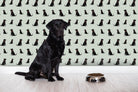 Black Labrador sitting in front of matching Sweet William Designs wallpaper — illustrated repeat pattern on sage green