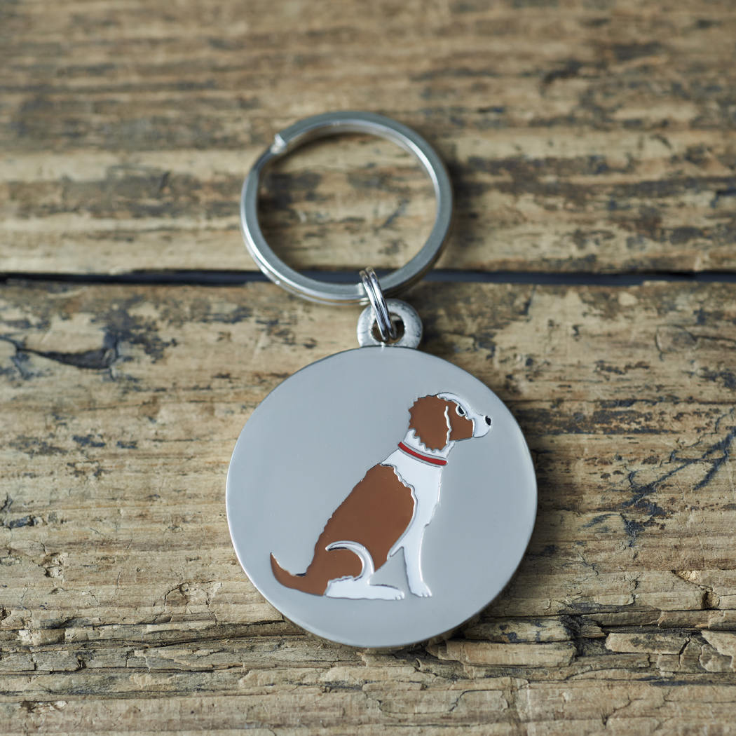 Close-up of Liver & White Springer Spaniel dog ID tag — silver-plated brass with illustrated Springer Spaniel design, personalised dog tag by Sweet William Designs
