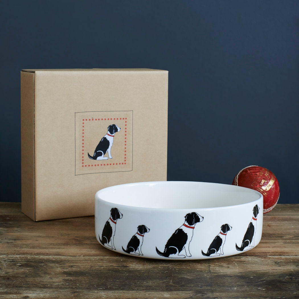 Black & White Springer Spaniel ceramic dog bowl with kraft gift box — perfect gift for Springer Spaniel lovers by Sweet William Designs