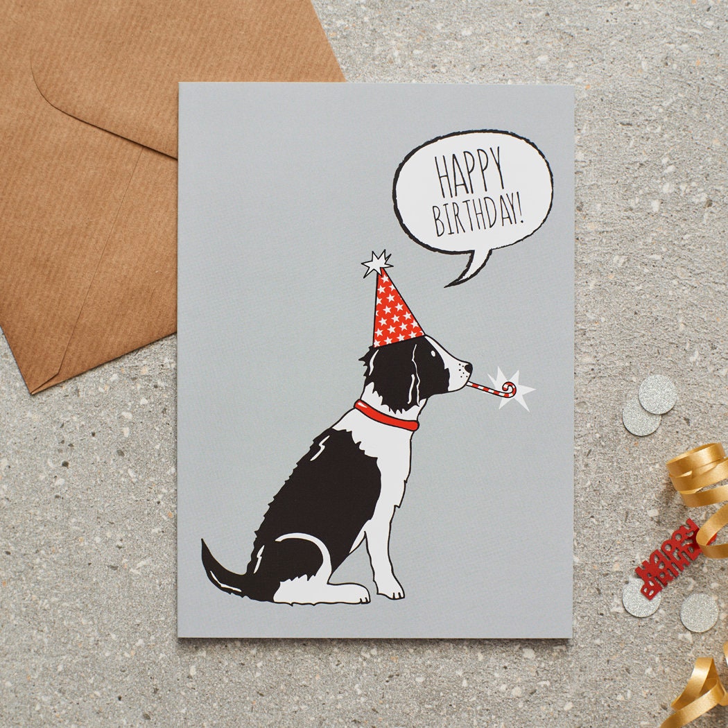 Black & White Springer Spaniel birthday card with illustrated dog design — blank inside, FSC-certified, designed and made in England by Sweet William Designs