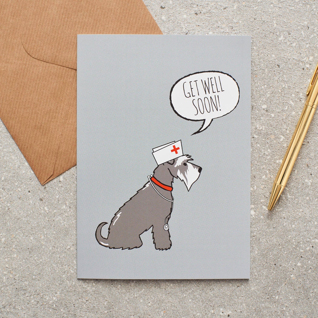 Schnauzer Get Well card — illustrated Salt & Pepper Schnauzer with get well wishes, dog lover gift by Sweet William Designs