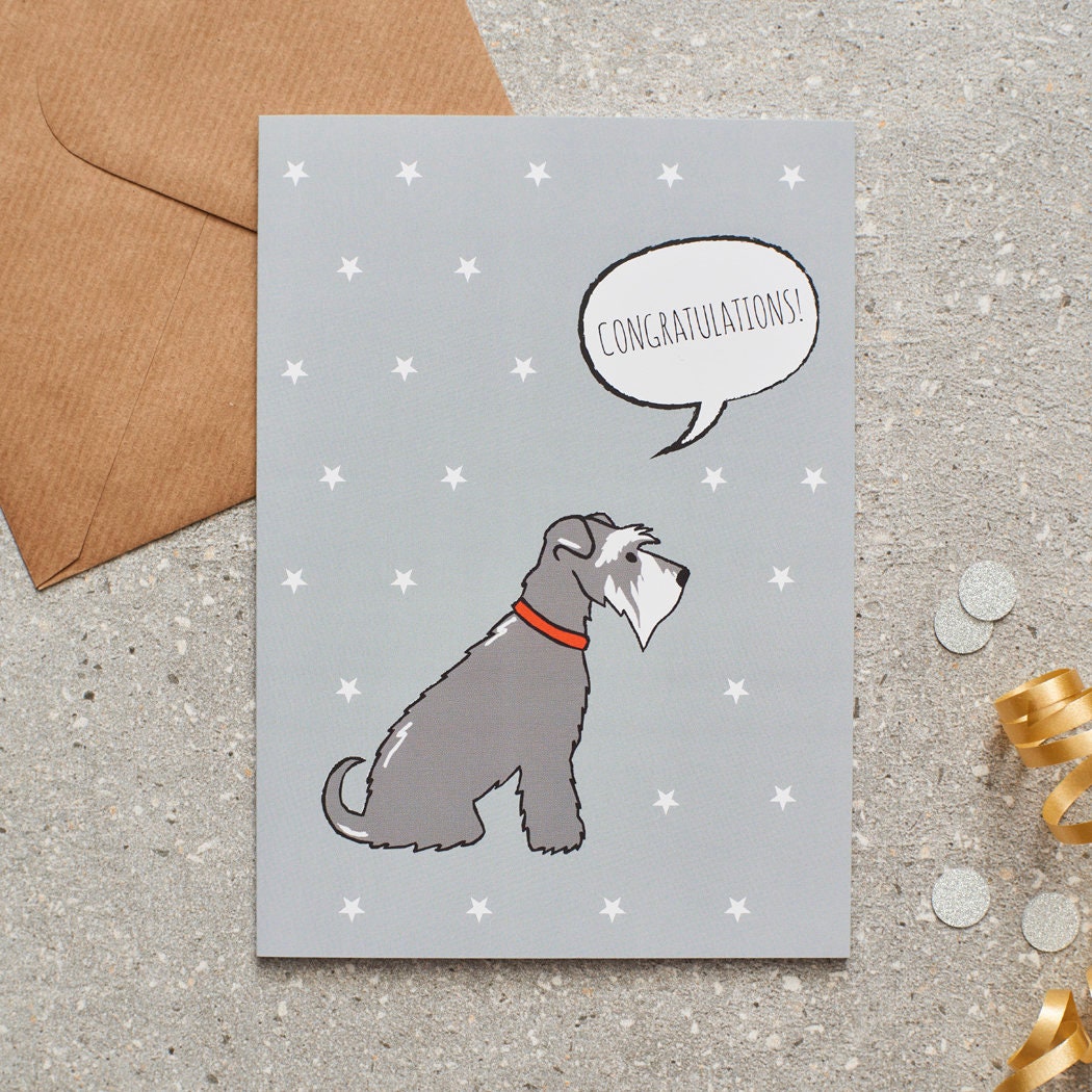 Salt & Pepper Schnauzer congratulations card featuring a charming illustrated Grey Schnauzer with a ‘Congratulations!’ message and white stars, perfect for celebrating a dog lover’s good news