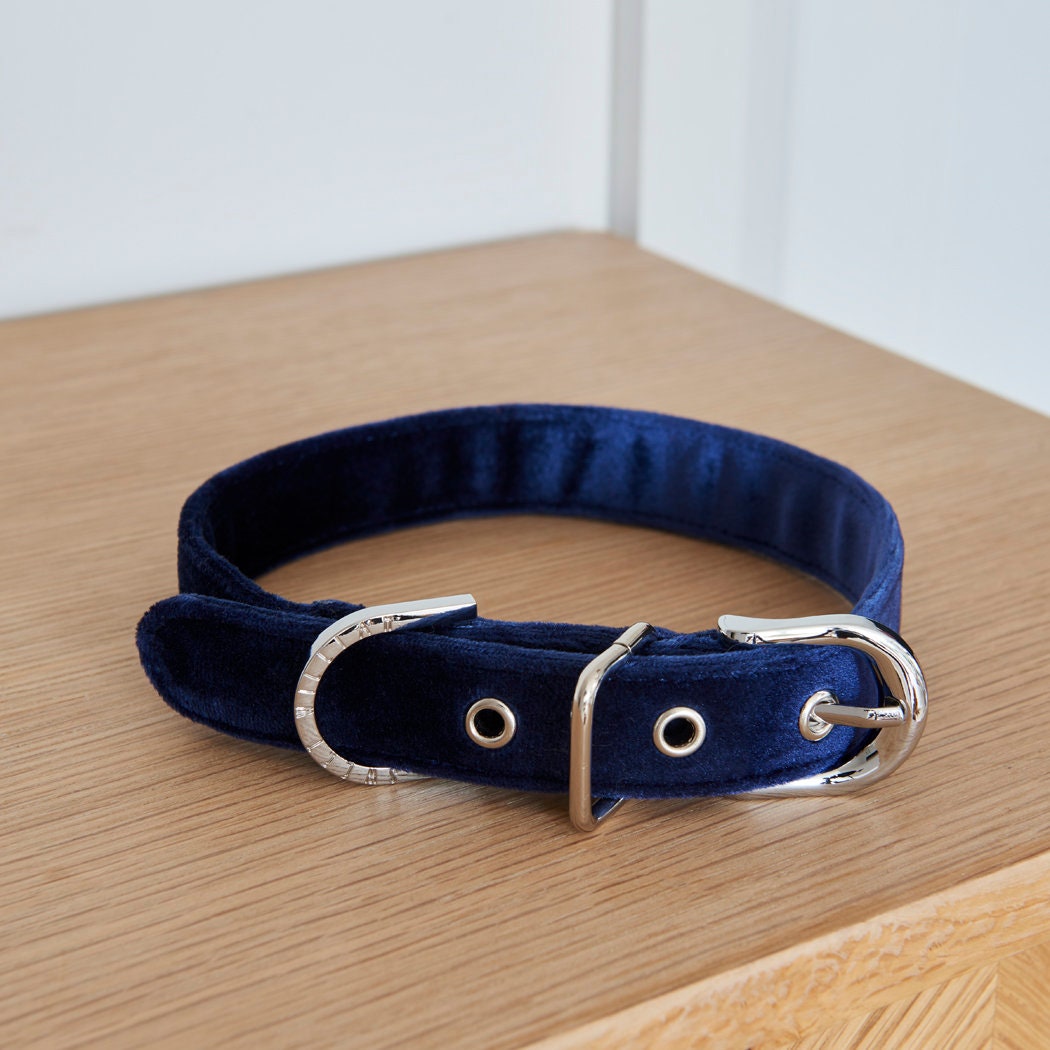 Navy velvet dog collar by Sweet William Designs resting on a wooden table, showing its silver buckle and attachment ring