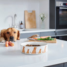 Fox Red Labrador ceramic dog bowl — signature illustration, dishwasher safe dog lover gift by Sweet William Designs