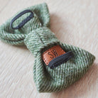 Green tweed bow tie for dogs