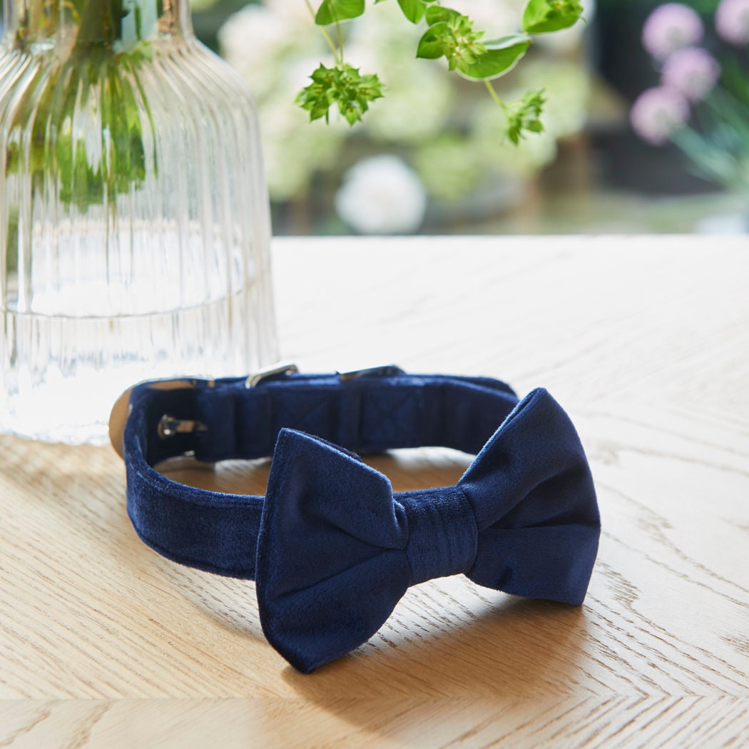 Navy velvet dog bow tie resting beside its matching collar on a wooden table