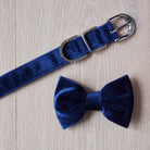 Navy velvet dog bow tie with its matching collar, a smart little set for special occasions