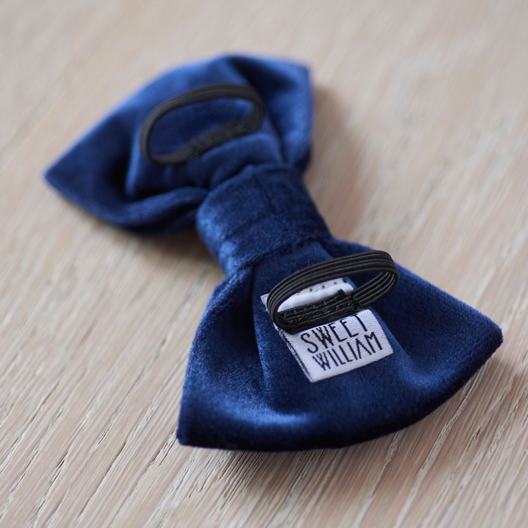 Close-up of the back of a navy velvet dog bow tie showing the elastic loops that attach to a collar and Sweet William branding