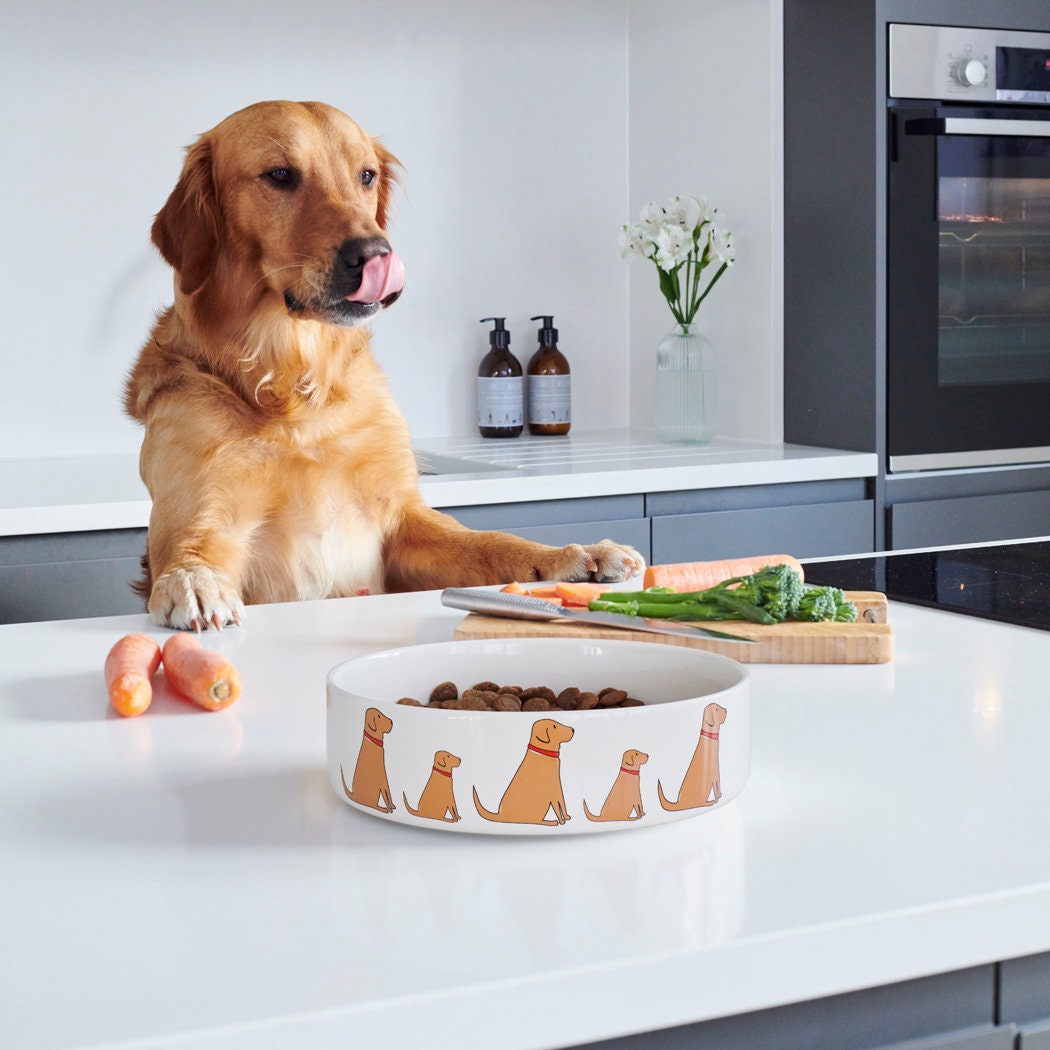 Fox Red Labrador ceramic dog bowl — signature illustration, dishwasher safe dog lover gift by Sweet William Designs