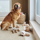 Cooper the Golden Retriever sitting beside full collection of dog toys — playful gift for dogs by Sweet William Designs