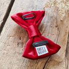 The reverse of a rich red velvet dog bow tie, showing the elastic collar loops and Sweet William label, perfect for gifting