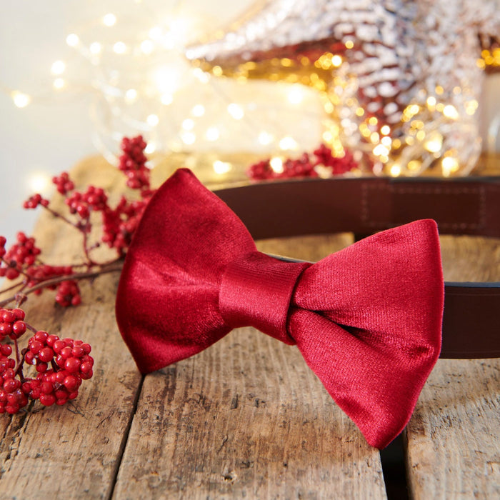 Red velvet dog bow tie attached to a brown collar on a rustic wooden table with festive lights and berries, a thoughtful Christmas gift for dogs
