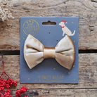 Our gold velvet Christmas bow tie displayed on its festive Sweet William card, ready to make a lovely gift for a much-loved dog