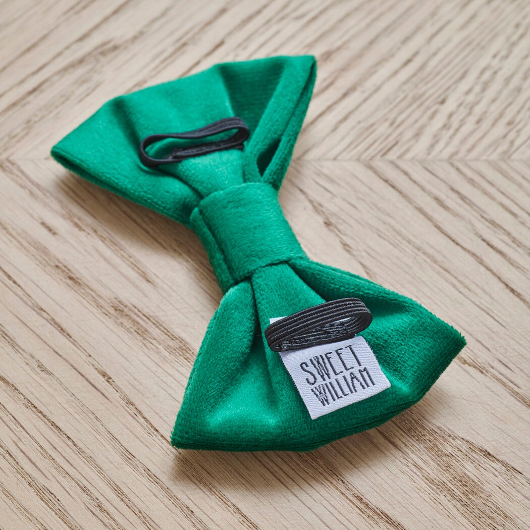 Close-up of the back of the green velvet dog bow tie, showing the elastic loops that slip onto a collar and the Sweet William label