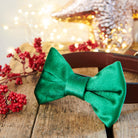 Green velvet dog bow tie attached to a brown collar on a rustic wooden table with festive lights and berries, a lovely Christmas gift