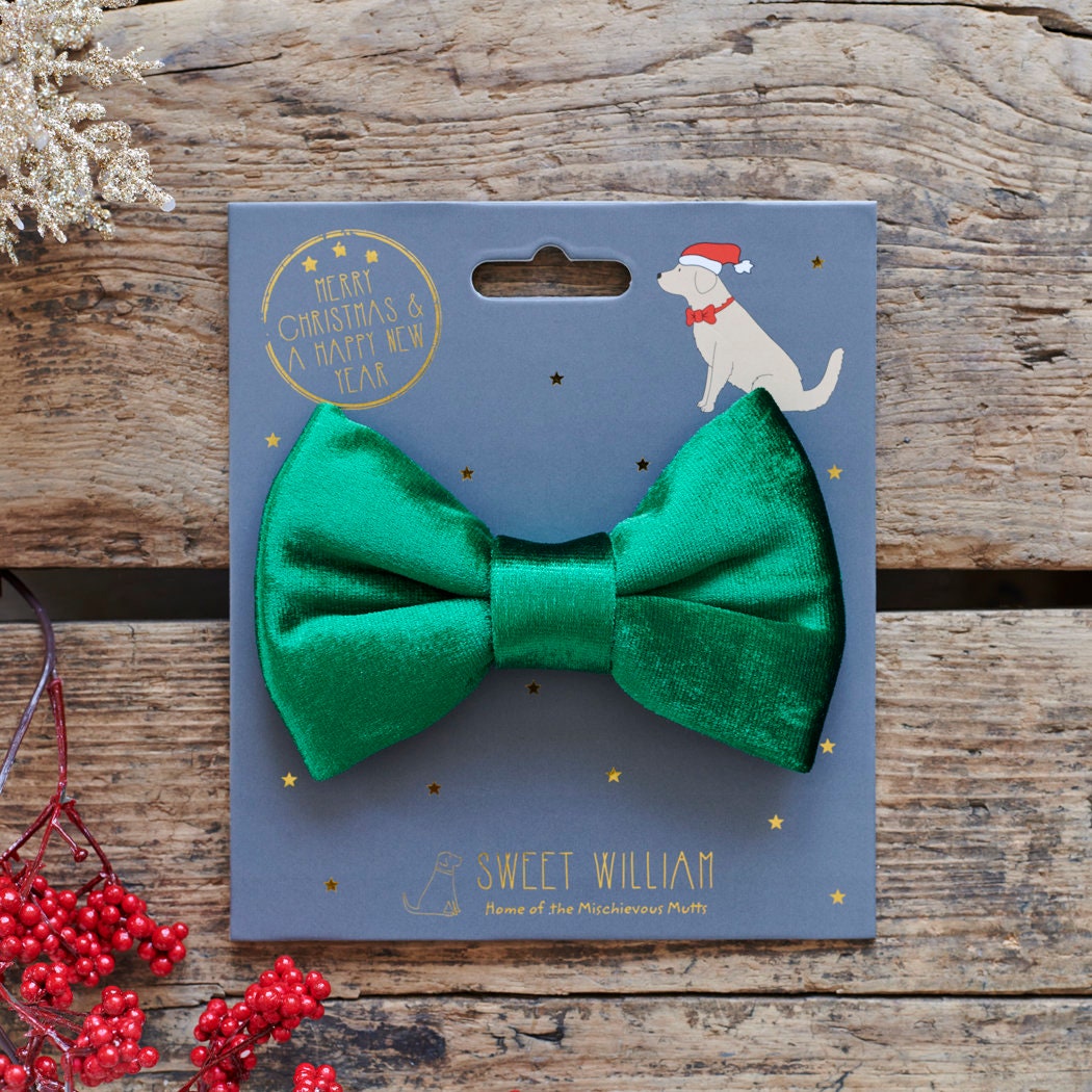 Green velvet Christmas dog bow tie beautifully presented on a Sweet William festive card, perfect for gifting