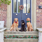 A golden retriever, black Labrador and Vizsla wearing Christmas bow ties at a festive front door, with the black Labrador in gold velvet