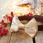 Gold velvet dog bow tie attached to a brown collar on a rustic wooden table with festive lights and berries, a lovely Christmas gift