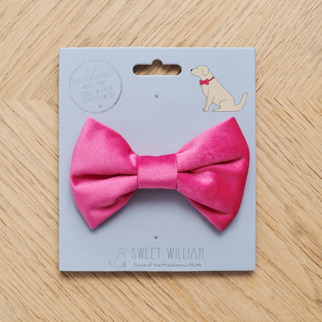 Pink velvet dog bow tie on its Sweet William backing card, a perfect little gift for a much-loved dog
