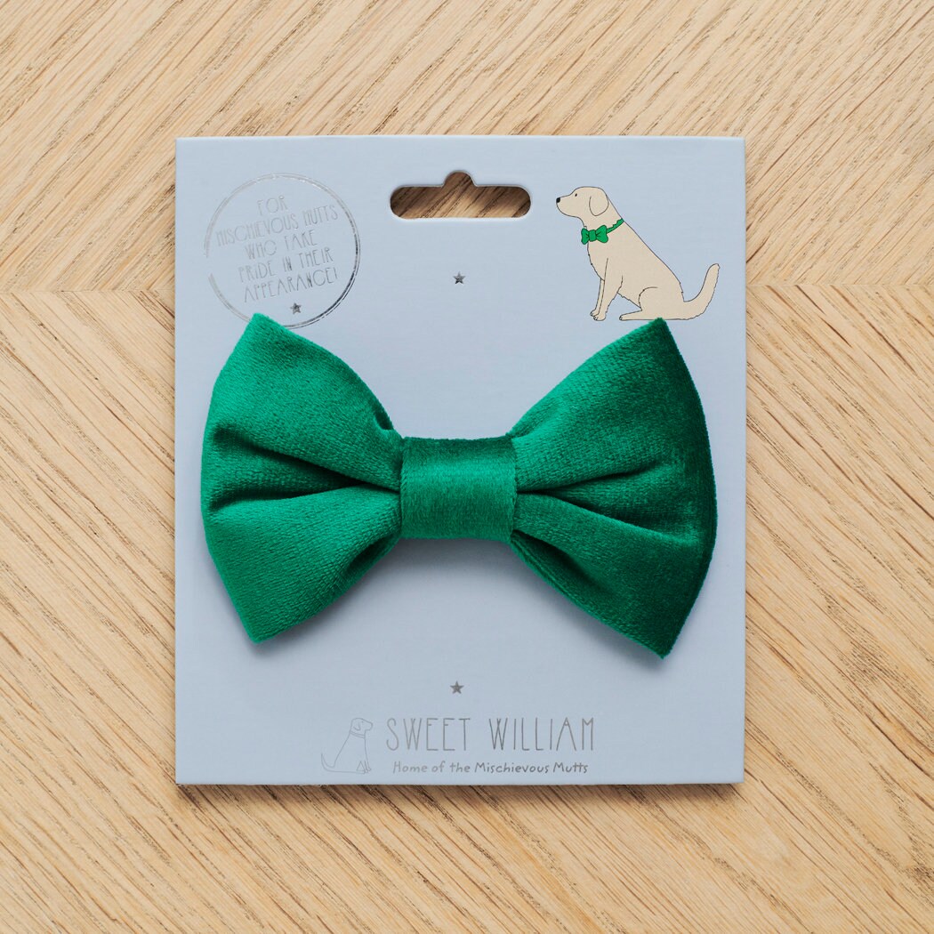 Green velvet dog bow tie on its Sweet William backing card, a lovely little gift for a well-dressed dog