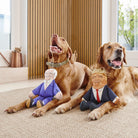 Vizsla and Golden Retriever with Trump and Biden parody dog toys — funny political squeaky dog toys, gift for dog lovers