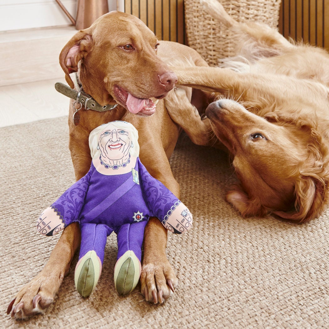 Vizsla and Golden Retriever playing with Queen Camilla parody dog toy — funny royal squeaky dog toy, gift for dog lovers
