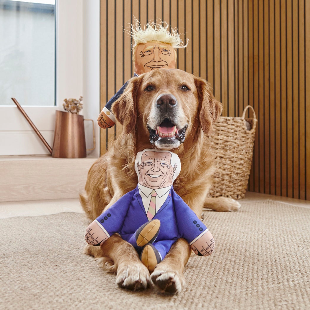 Golden Retriever with Donald Trump toy on head and Biden parody dog toy in front — funny political squeaky dog toys