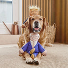 Golden Retriever with Donald Trump toy on head and Biden parody dog toy in front — funny political squeaky dog toys
