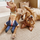 Vizsla and Golden Retriever with Donald Trump parody dog toy — funny political squeaky dog toy, gift for dog lovers
