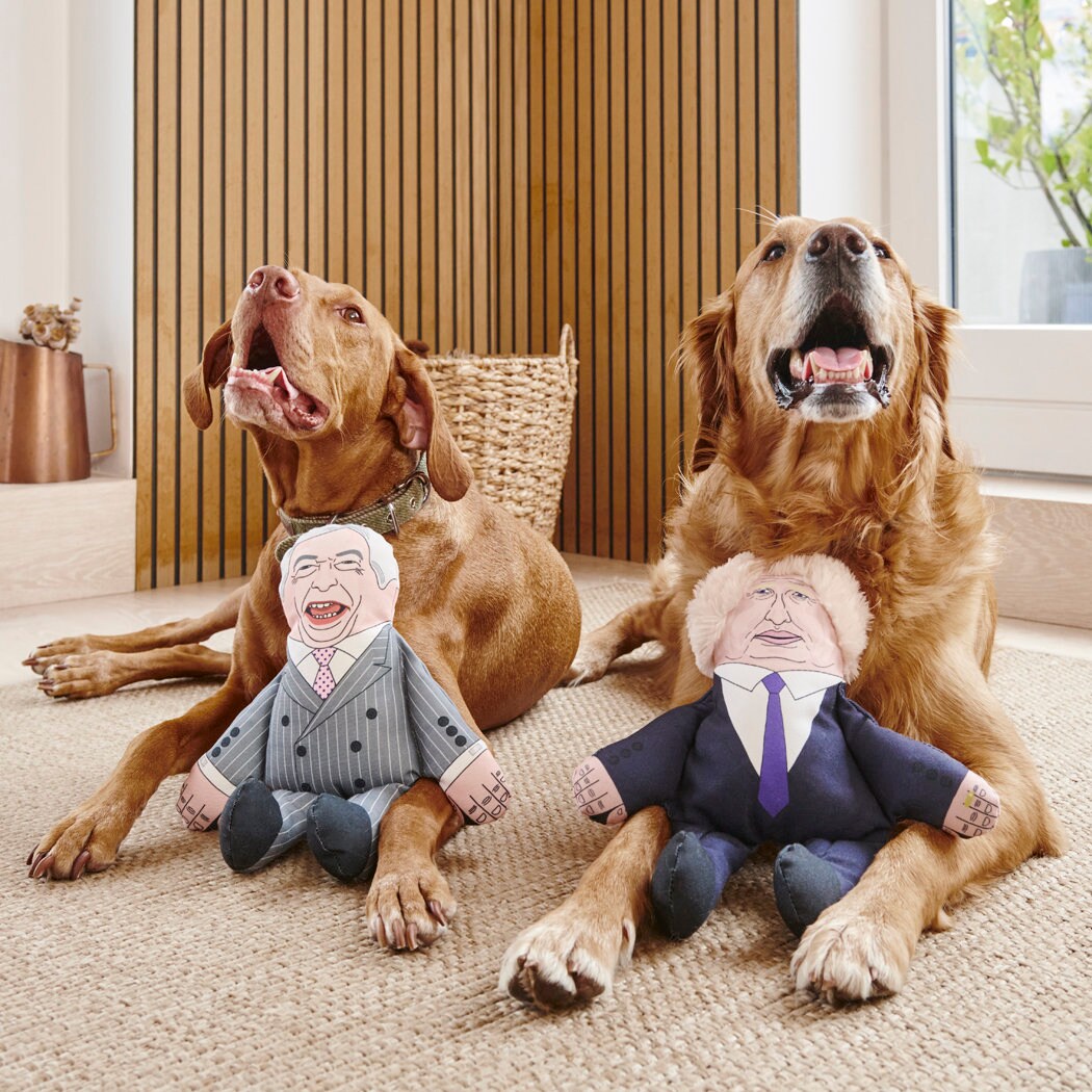 Vizsla and Golden Retriever with Boris Johnson and Nigel Farage parody dog toys — funny squeaky political dog toys